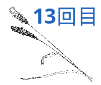 イラストレーター のトレース機能で一発アウトライン化 闇雲に書いた96記事から乗り換え情報配信で脱線しないol物語